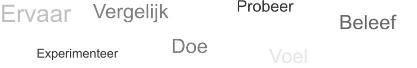 Ervaar Probeer Voel Beleef Experimenteer Denk Doe beweeg Vergelijk
